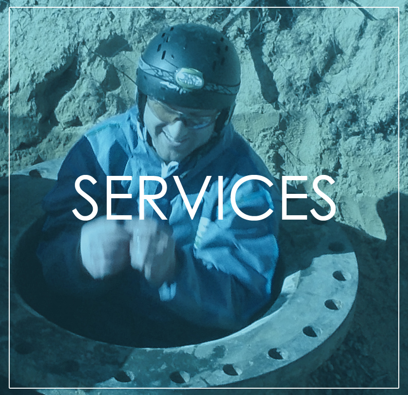 services